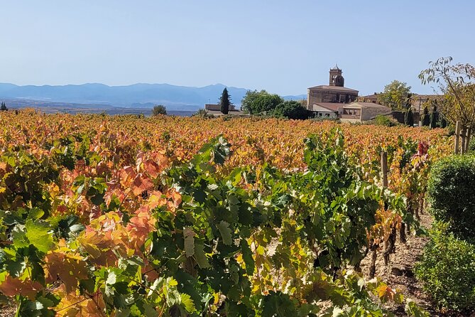 Visit of Marques de Riscal & Boutique Winery from Bilbao - Pricing and Booking Considerations