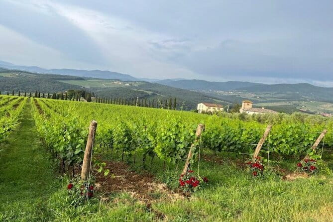 Visit Of The Chianti Classico And The Tuscan Countryside - Visiting San Casciano in Val di Pesa: Optional Winery Stop