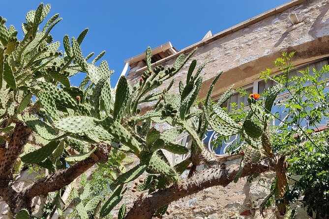 Visit of the Medieval Village of Èze - Logistics: Meeting Point and End Location