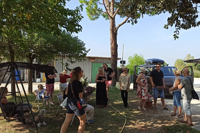 Visit of the Winemaker with Tasting of Typical Products in Faenza - The Charm of the Romagna Vineyards and Hills