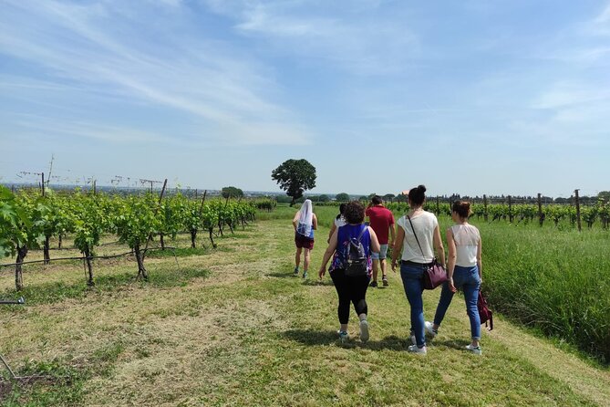 Visit of the Winemaker with Tasting of Typical Products in Faenza - Logistics and Booking Details