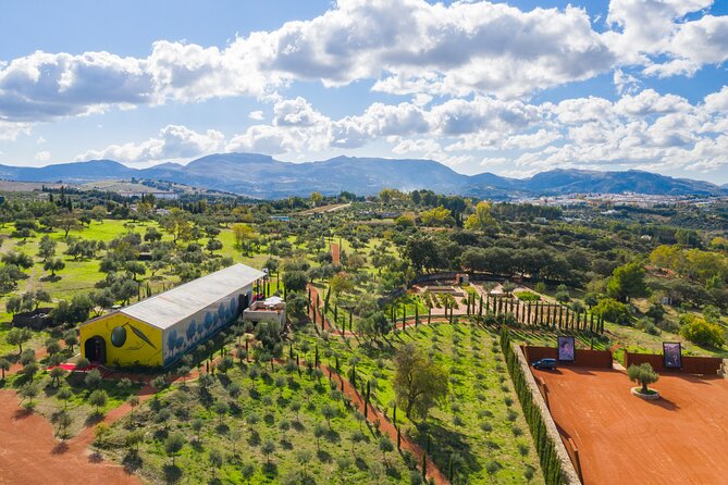 Visit Oil Mill Museum and Olive Oil Tasting in Ronda -  