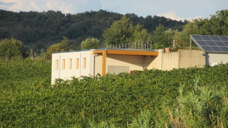 Visit our scenic winery and enjoy a tasting of award-winning organic wines - Key Points