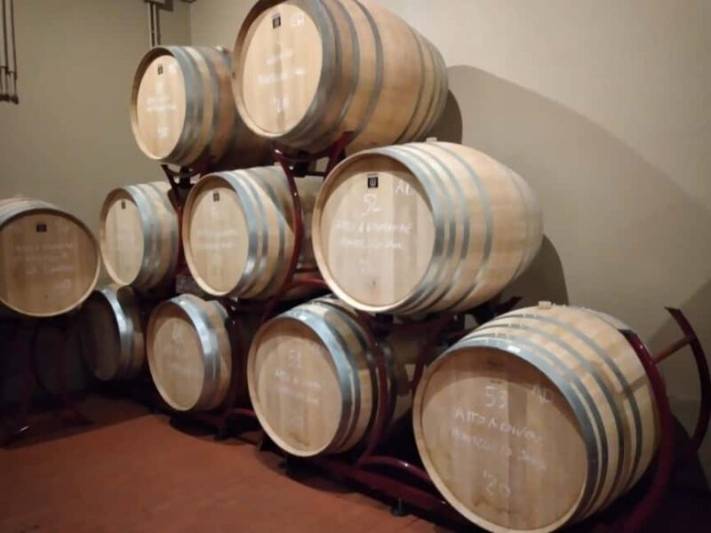 Visit our scenic winery and enjoy a tasting of award-winning organic wines - Tasting Local Delicacies Paired with Award-Winning Wines