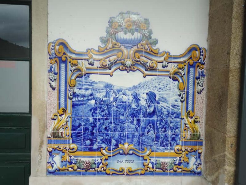 Visit Pinhão Quinta with Wine Tasting and a Panoramic Cruise - Flexible scheduling with activities between 10 a.m. and 5 p.m.