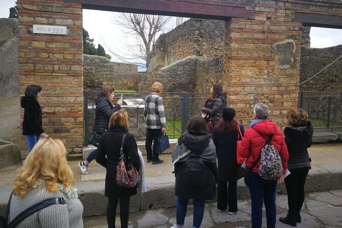 Visit Pompeii with an expert professional guide (2/3 hours) - Practical Details: Meeting Point and Group Size