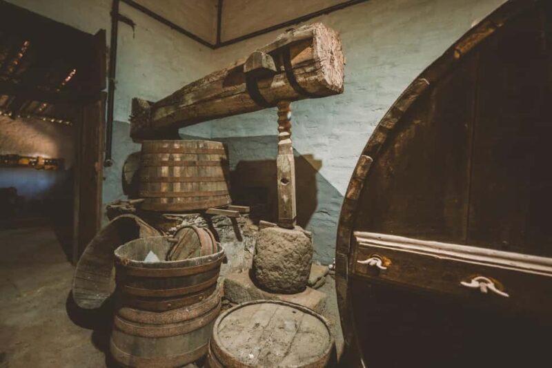 Visit Qt Sobre a Fonte with wine tasting and picnic - pet friendly - Enjoying the Vineyard Picnic with Local Flavors