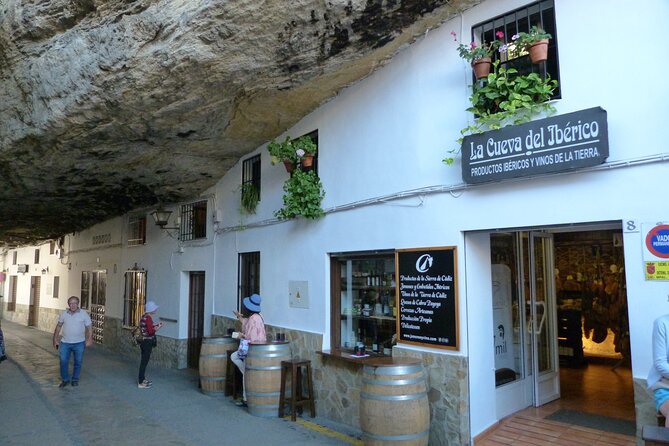 Visit Ronda and Setenil de las Bodegas in one day from Malaga - Practical Tips for Participants