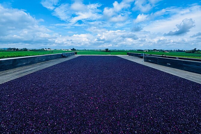 Visit Saint-Emilion and Pomerol:Vineyards, lunch and tastings included - Exploring the Charm of Saint-Emilions Village