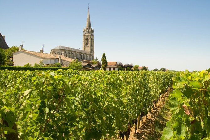 Visit Saint-Emilion and Pomerol:Vineyards, lunch and tastings included - Convenient Logistics and Comfort