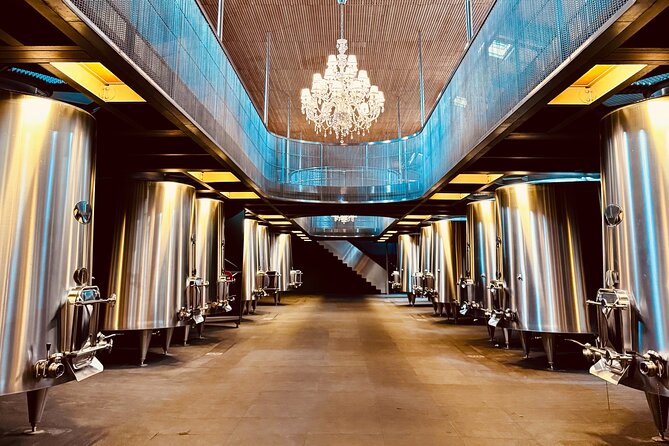 Visit Saint-Emilion and Pomerol:Vineyards, lunch and tastings included - Expert Guides and Highly Praised Service