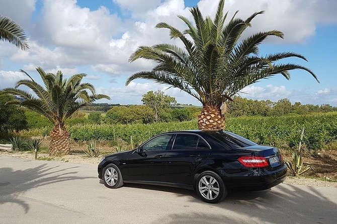 Visit Segesta and Selinunte from Trapani - The Cost and What It Includes