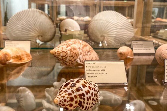 Visit Shell Museum Cavtat - Visiting the Shell Museum Cavtat: Location and Accessibility