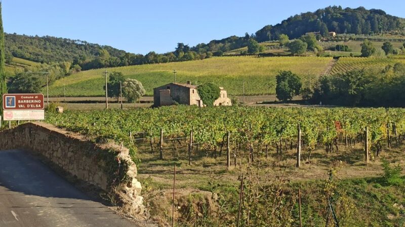 Visit Siena and San Gimignano with lunch at a family farm - Authentic Tuscan Winery and Family-Run Farm Lunch