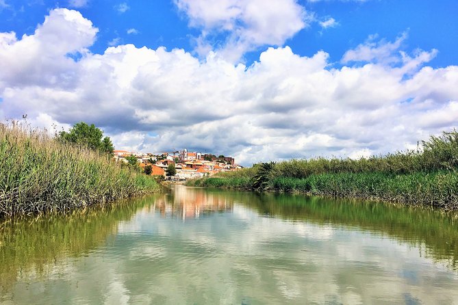 Visit Silves & Explore the Arade River | Eco-Friendly Solar Boat - The Iconic Railway Bridge and Modern Connectivity