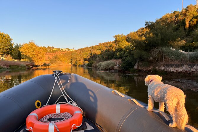Visit Silves Medieval Town by Boat with Hop-Off Hop-On - Relaxing Return Journey with Scenic Views