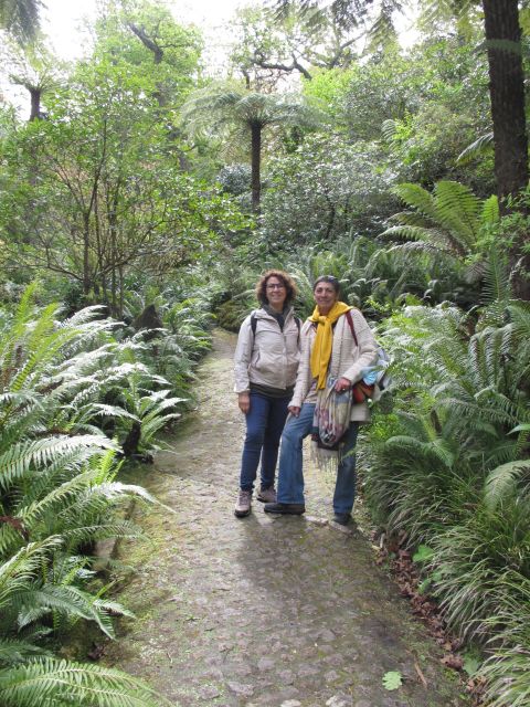 Visit Sintra's spectacular palaces and gardens in one day! - Walking from the Moorish Castle to Sintra Town
