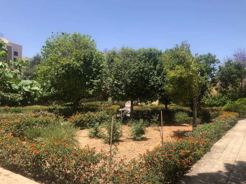 Visit Tarxien Temples, Kalanka Bay, Blue Grotto, Marsaxlokk - Discover Malta’s Cultural and Natural Gems in One Day