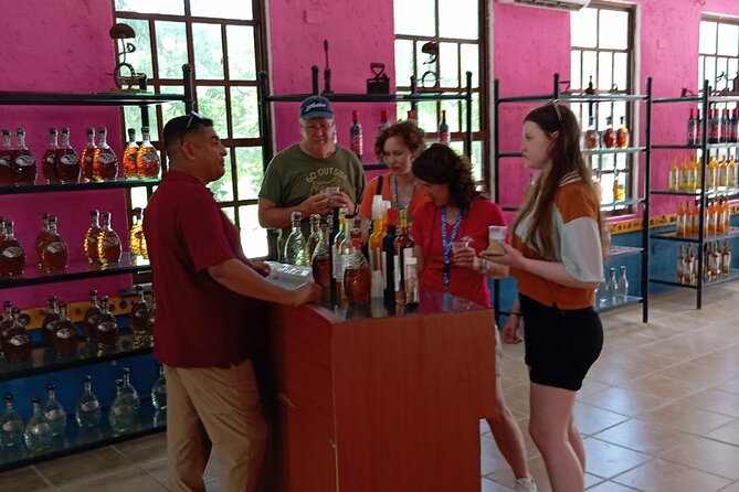 Visit the ancient Mayan ruins and the best beaches in Cozumel - San Gervasio Mayan Archaeological Site: Cozumel’s Cultural Highlight