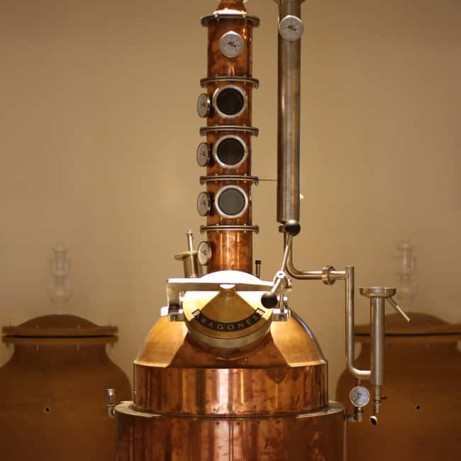 Visit the distillery of Ischia island - Inside the Distillery: Traditional Craftsmanship Up Close