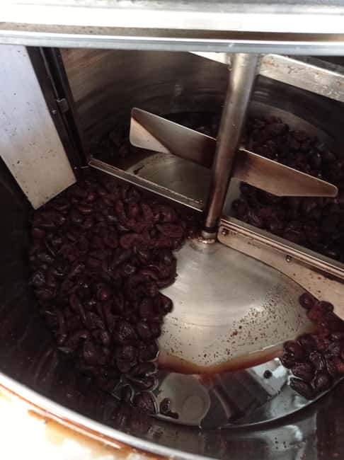 Visit the distillery of Ischia island - Booking and Practical Tips for Visiting