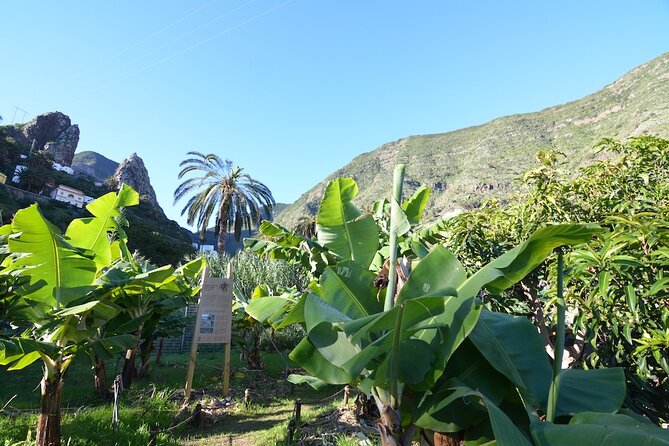Visit the Ethnographic Park of La Gomera - Accessibility and Practical Information