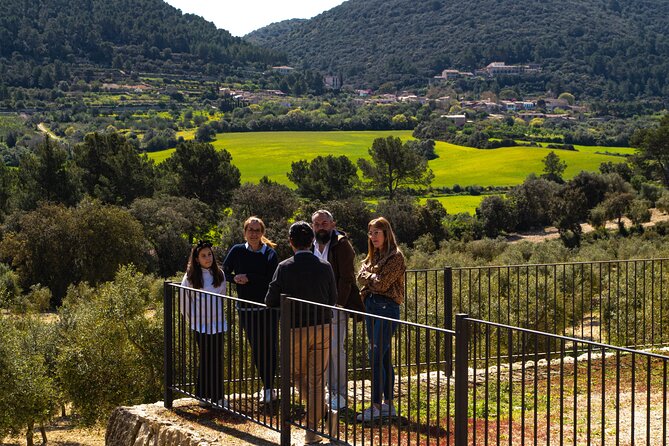 Visit the Finca and olive grove, extra virgin olive oil tasting and snack - Inside the Olive Oil Production Process