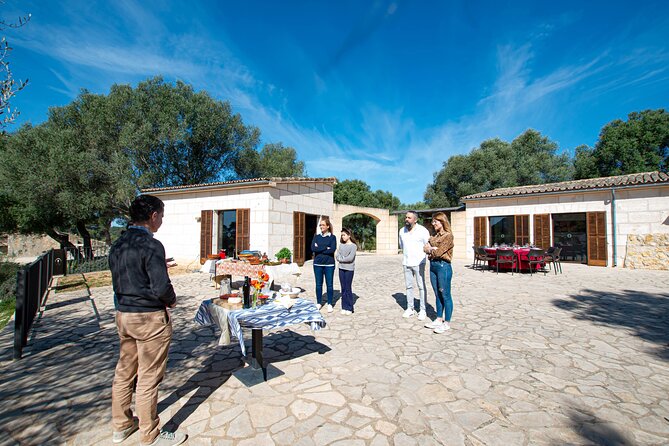 Visit the Finca and olive grove, extra virgin olive oil tasting and snack - The Guide: Passionate, Knowledgeable, and Entertaining