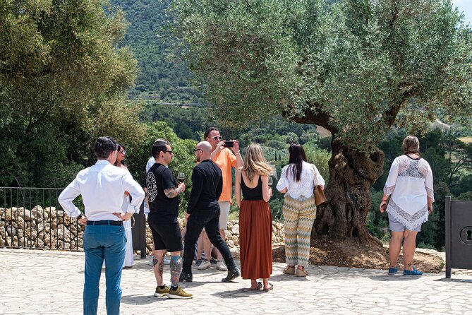 Visit the Finca and olive grove, extra virgin olive oil tasting and snack - Group Size and Group Atmosphere