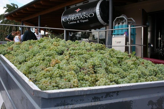 Visit the Marchesi de Cordano winery and taste its wines - An Inside Look at the Marchesi de Cordano Winery