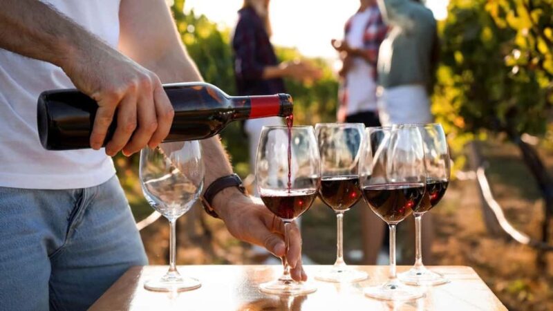 Visit the vineyards and discover Bandol wines - Starting Point: Convenient Pickup in the South of France