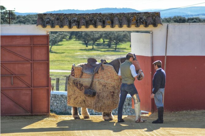 Visit to a brave bull farm in Andalusia - Practical Details and Booking Considerations
