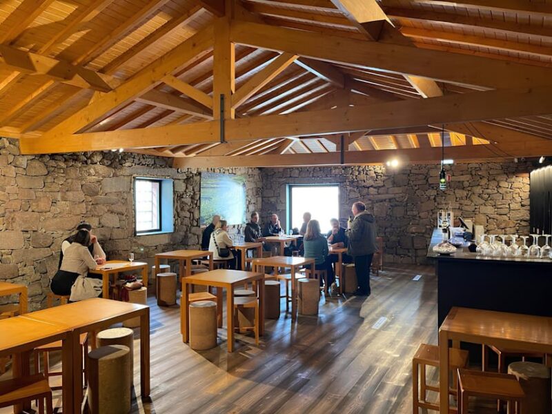 Visit to a Port Wine Cellar - Explore a Family-Run Port Wine Cellar in Portugal’s Norte Region