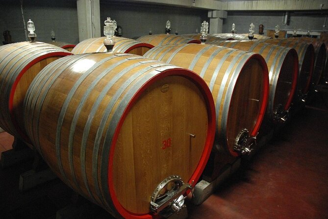 Visit to a Winery in Salento with Wine tasting and light lunch. From Lecce - Departure from Lecce’s Porta Napoli in the Morning