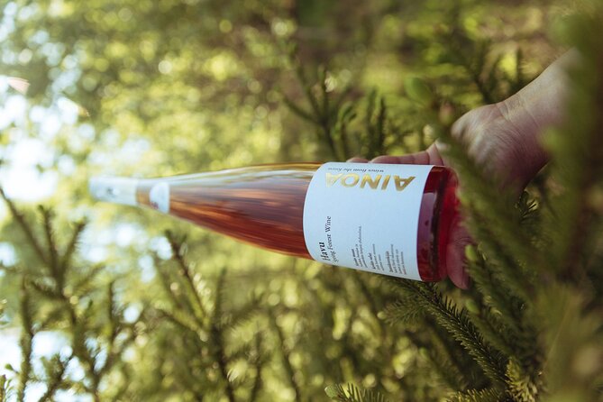 Visit to Authentic Finnish Berry Winery, Tasting Included - Visiting the Winery and Learning Its History