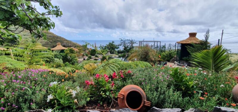 Visit to Madeira Bird Island - Exploring the Gardens and Plant Collection