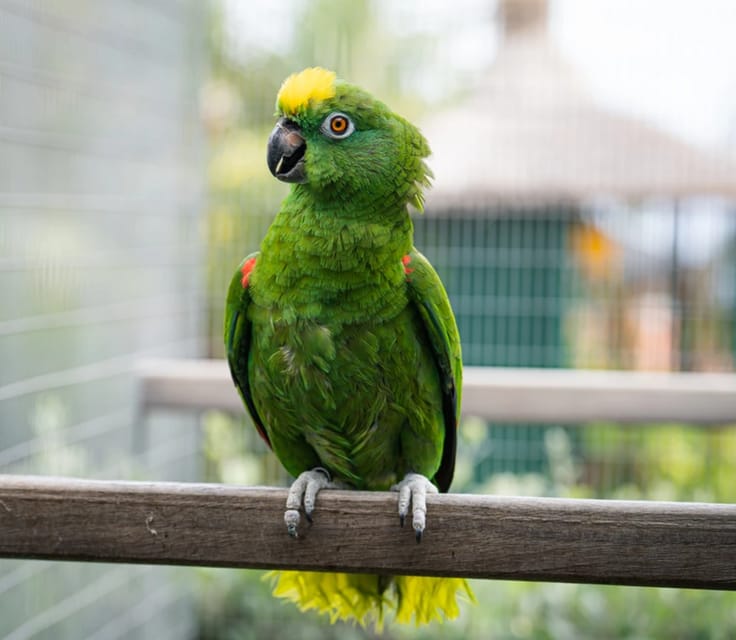 Visit to Madeira Bird Island - Relaxing at the Top Bar with Scenic Views