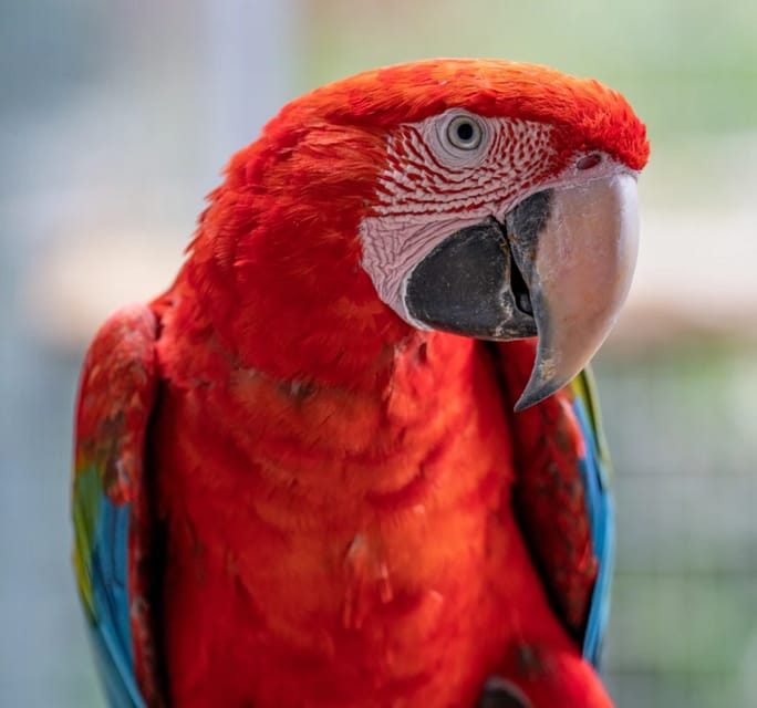 Visit to Madeira Bird Island - Practical Details: Accessibility and Booking Flexibility