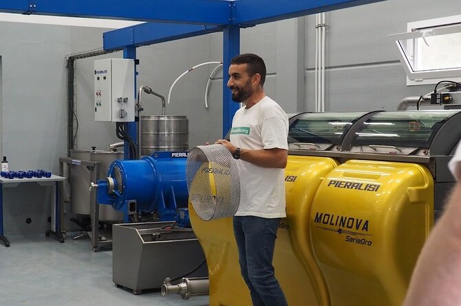 Visit to olive grove and olive mill with oil tasting and tasting - Tour of the Olive Oil Mill: From Fruit to Oil