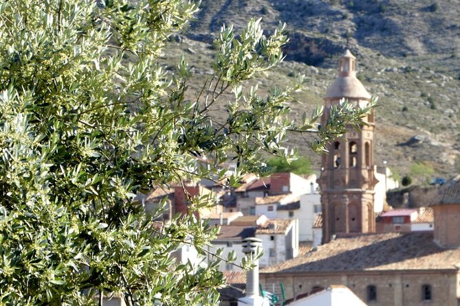 Visit to olive grove and olive mill with oil tasting and tasting - Why This Tour Excels: Recognized as the Best Ecotourism Experience