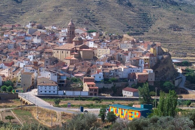 Visit to olive grove and olive mill with oil tasting and tasting - The Sum Up: A Genuine Insight into Olive Oil and Rural Heritage