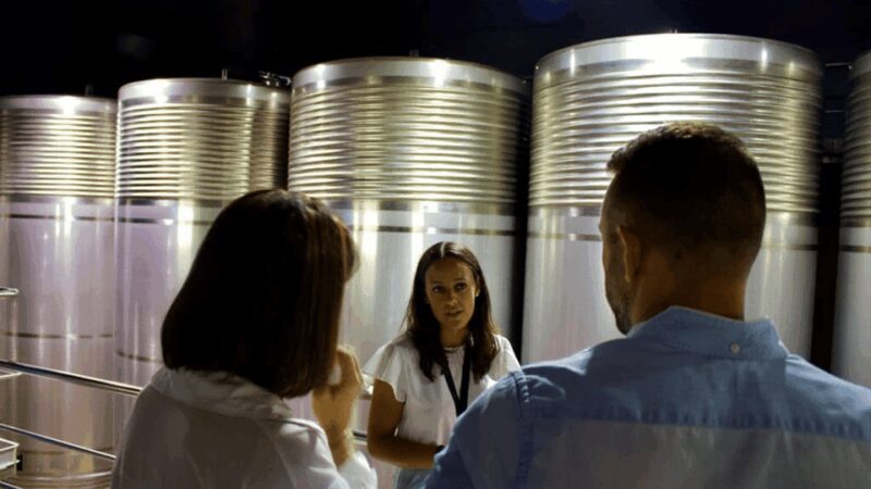 Visit to the Adegas Valmiñor winery and tasting - Discover the Charm of Adegas Valmiñor Winery in Galicia