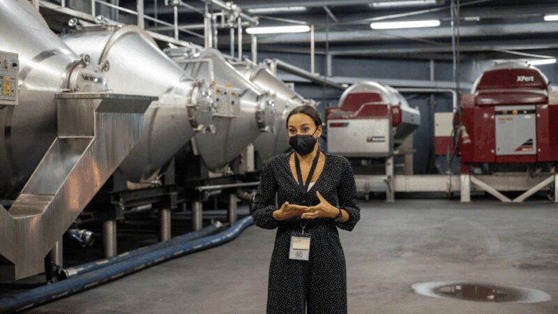 Visit to the Adegas Valmiñor winery and tasting - Accessibility and Practical Tips