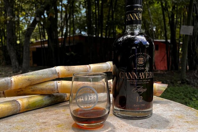 Visit to the archaeological site of Edzná + Ron - Key Points