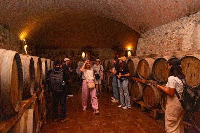 Visit to the archaeological site of Edzná + Ron - Who Will Enjoy This Tour Most?