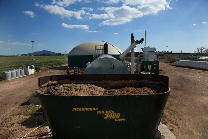Visit to the Bufale and Dairy farm with cheese tasting - The Quality of the Guide and Visitor Experience