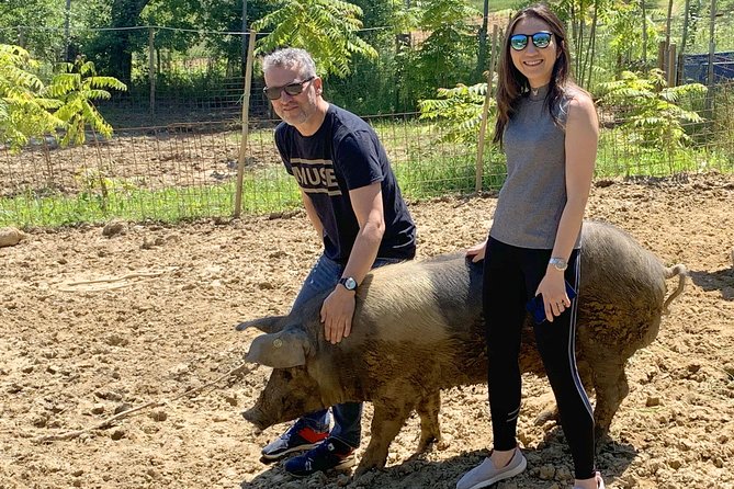 Visit to the Cinta Senese farm in Montepulciano - Why This Farm Tour Stands Out in Tuscany