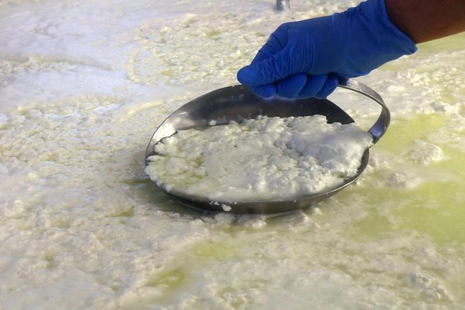 Visit to the dairy - Visiting the Production Hall: From Milk to Cheese