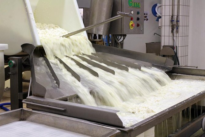 Visit to the dairy - Location and Meeting Point Details