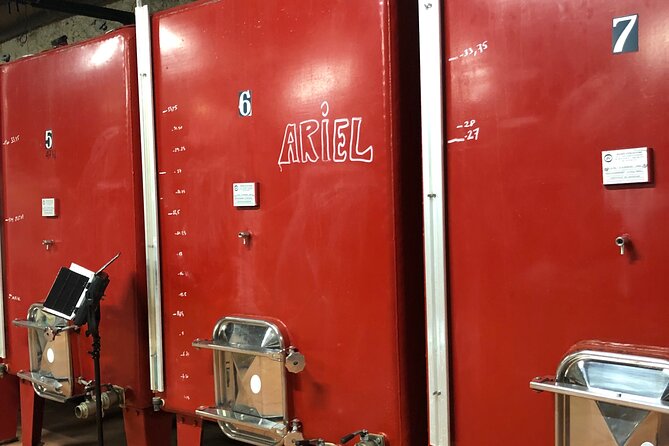 Visit to the Faugères Vineyards with Picnic from Béziers - Expert Guidance and Personalized Experience